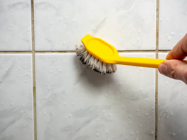 Best Residential Mold Remediation in Newburyport, MA