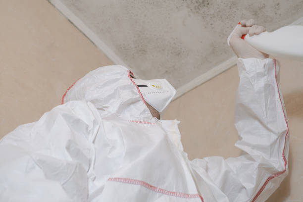 Best Post-Flood Mold Remediation in Newburyport, MA